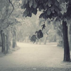 调教日本嫩模打屁股
